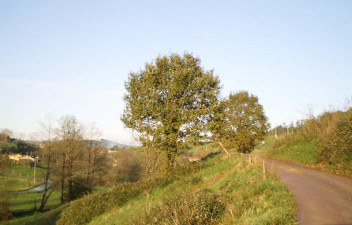 Sin-título-2.jpg